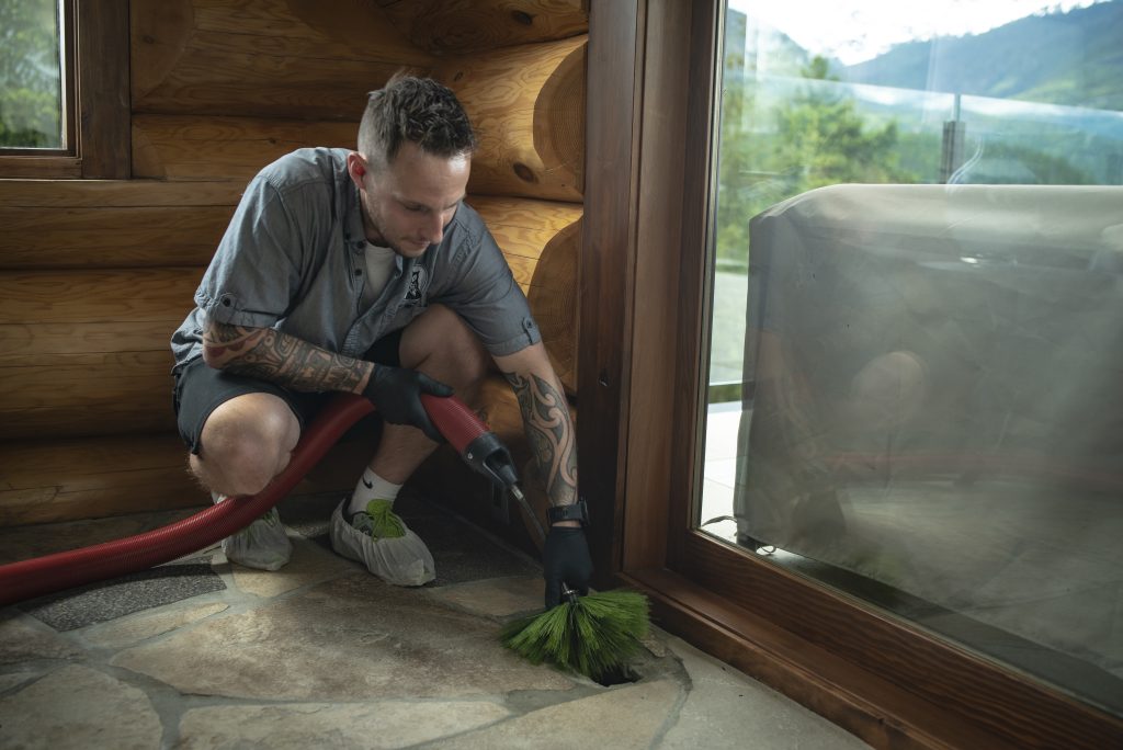 Black Bear June 2020-0632