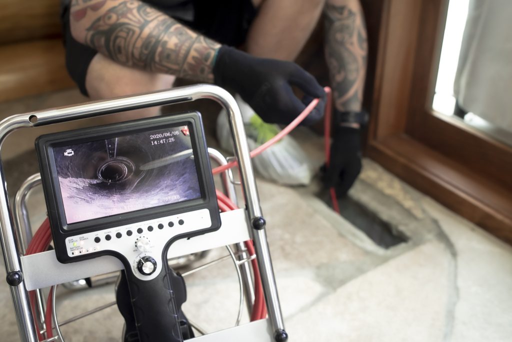 Black Bear June 2020-0670