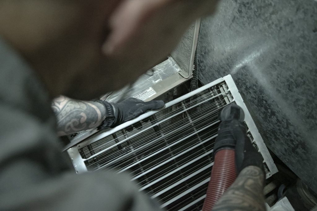 Black Bear June 2020-0678