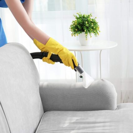 Upholstery Cleaning Whistler